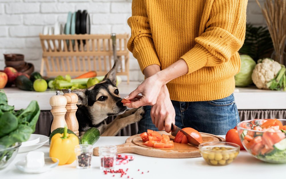 Cum să îți protejezi animalele de alimentele periculoase